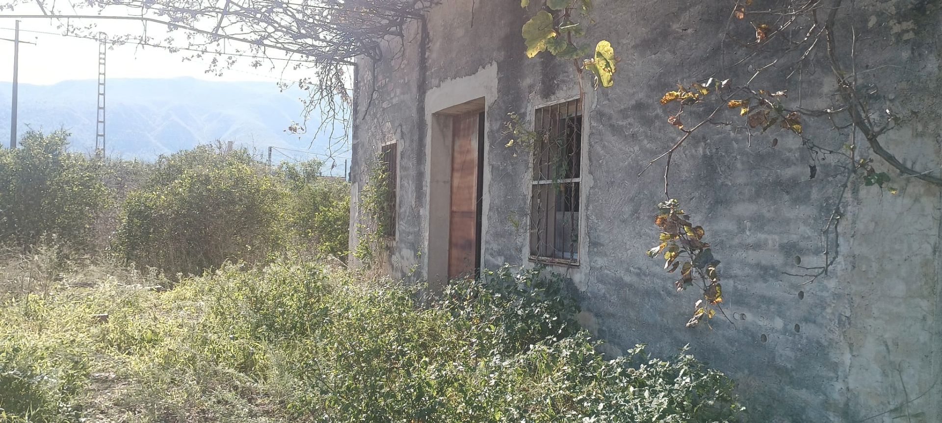 Vista exterior de Casa o chalet en venta en Vilallonga / Villalonga con Terraza y Piscina