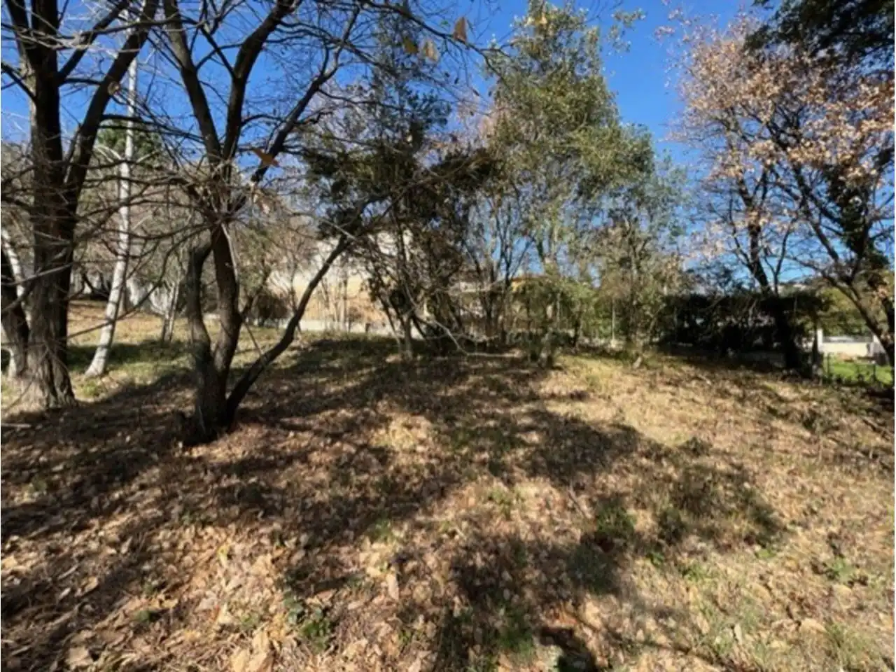 Land for sale in Riells i Viabrea