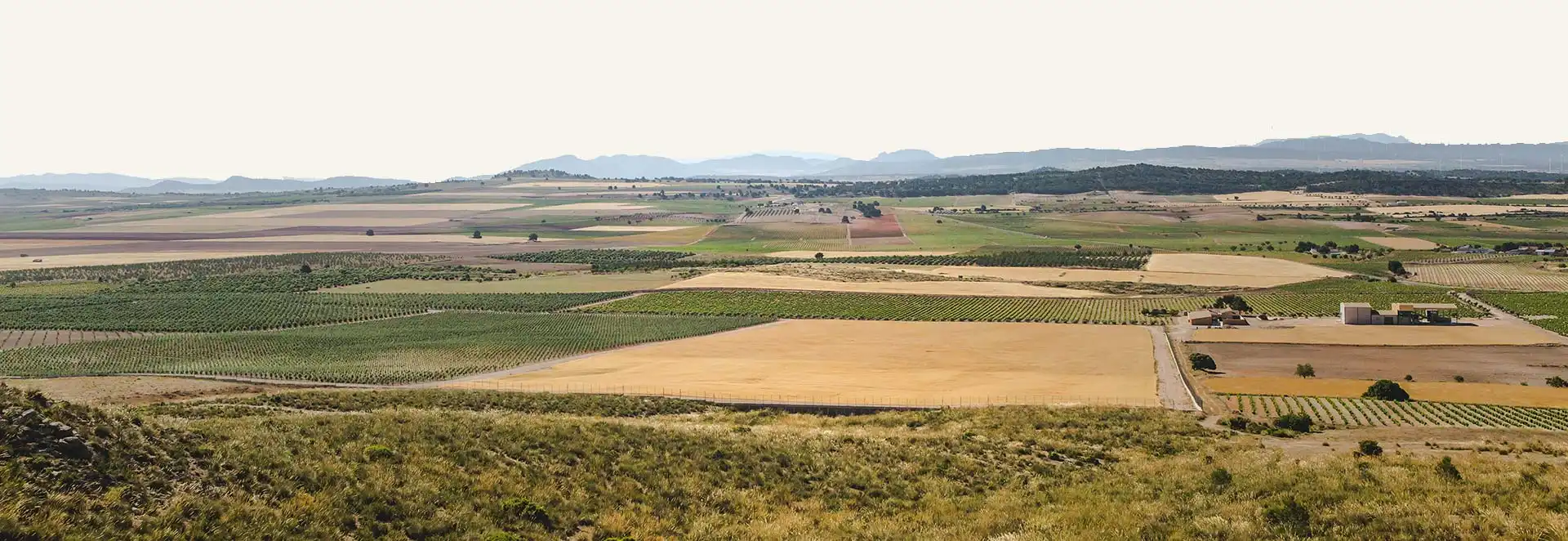 Finca rústica en venda en Jumilla amb Calefacció, Jardí privat i Terrassa