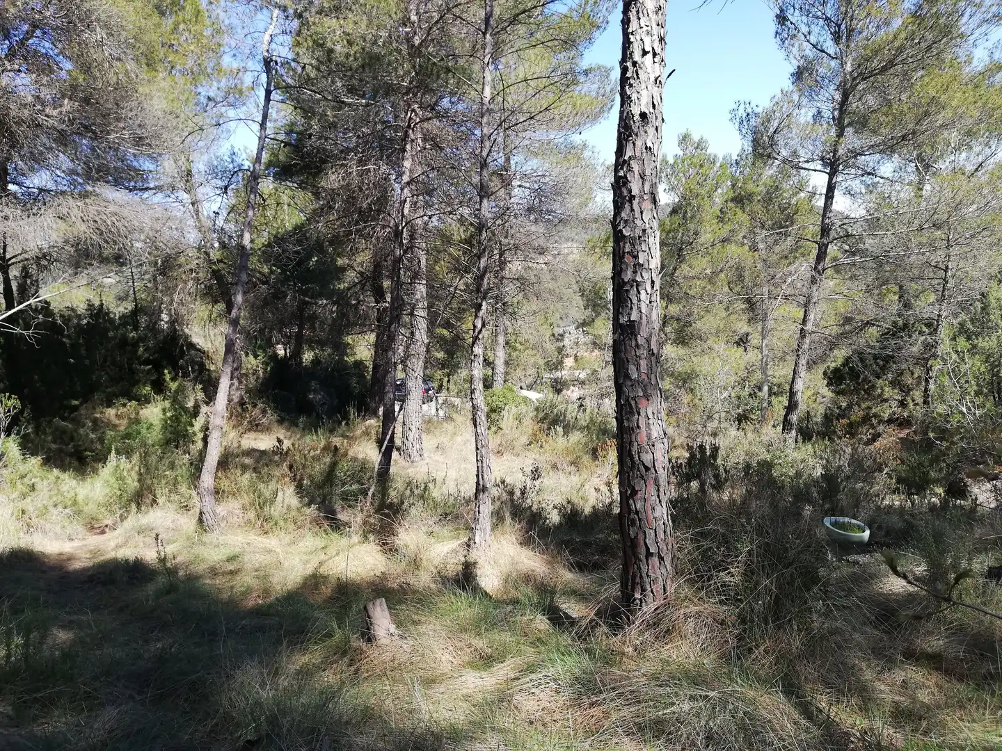 Residencial en venta en La Pobla de Claramunt