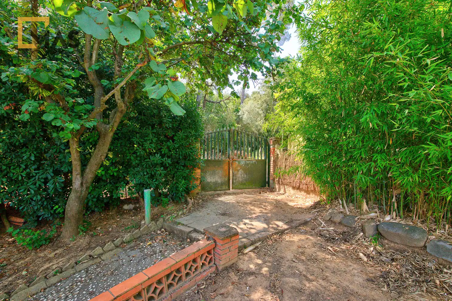 Jardí de Casa o xalet en venda en Sant Cugat del Vallès amb Jardí privat i Piscina