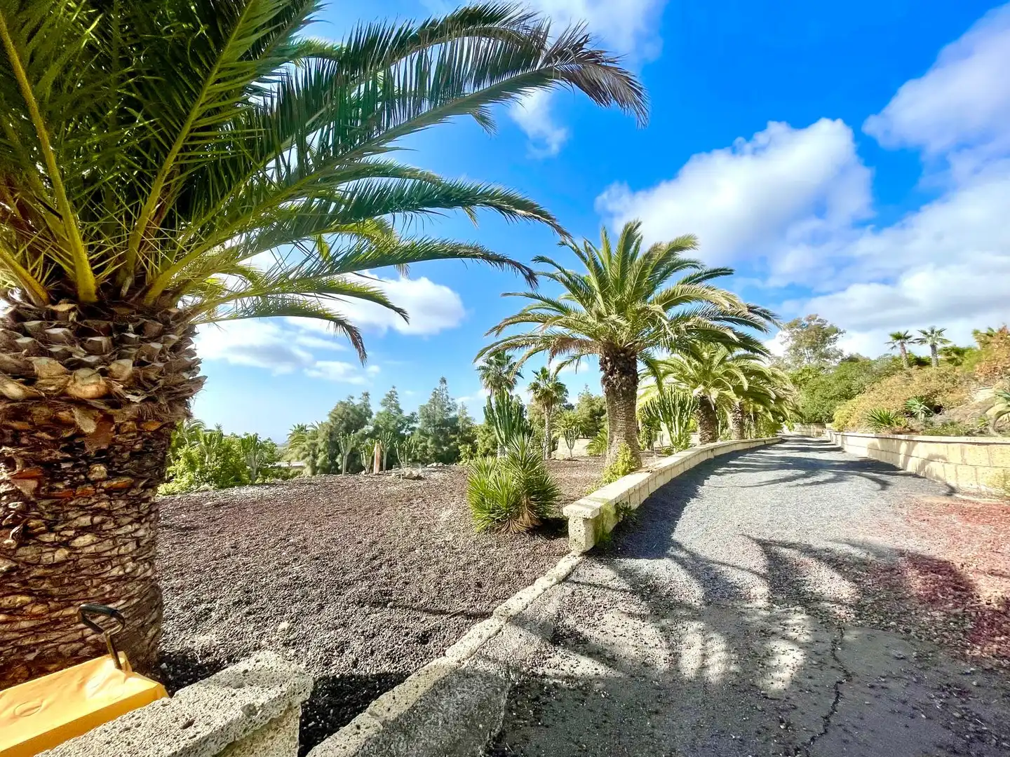 Exterior view of Houses for sale in Granadilla de Abona  with Private garden, Terrace and Swimming Pool