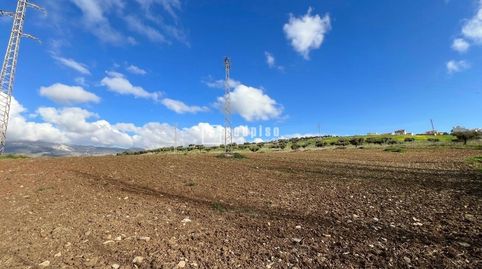 OPORTUNIDAD ÚNICA, CONSTRUYE LA CASA DE TU SUEÑOS EN COLMENAR  SOLAR DE 180 m  POSIBILIDAD DE 23 PLANTAS CON GARAJE  TERRAZA  PATI, immagine 5