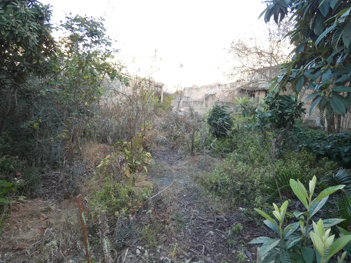 House with garden for sale in Petra, imagen 16