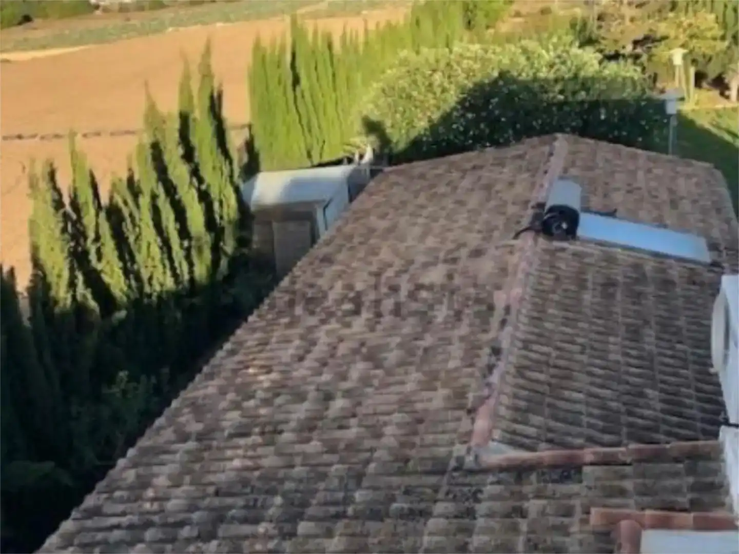 Vista exterior de Piso en venta en Elche / Elx con Aire acondicionado, Piscina y Balcón