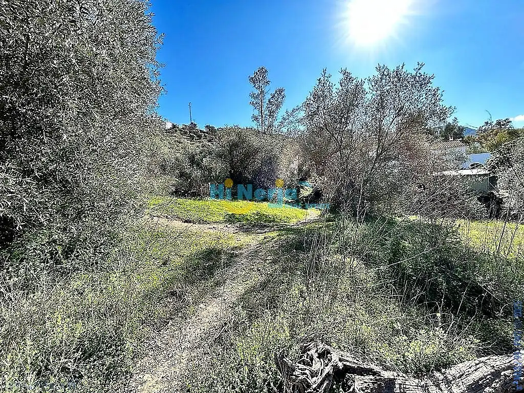 Maison à vendre à Comares, imagen 19