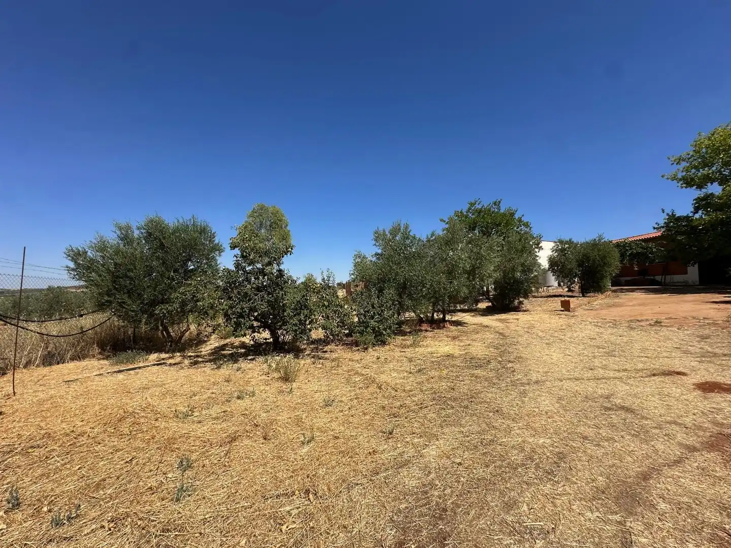 Rural land for sale in Carretera Valdepeñas-Ciudad Real, imagen 54