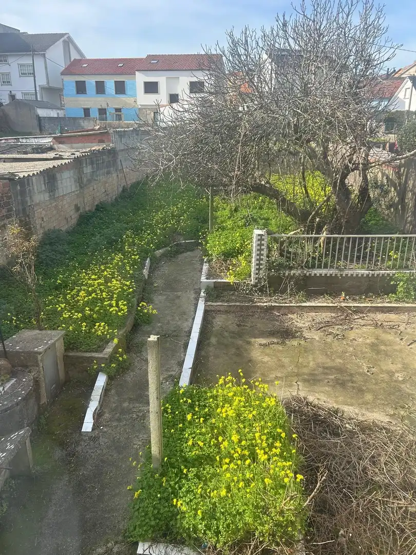 Houses for sale in Ribeira