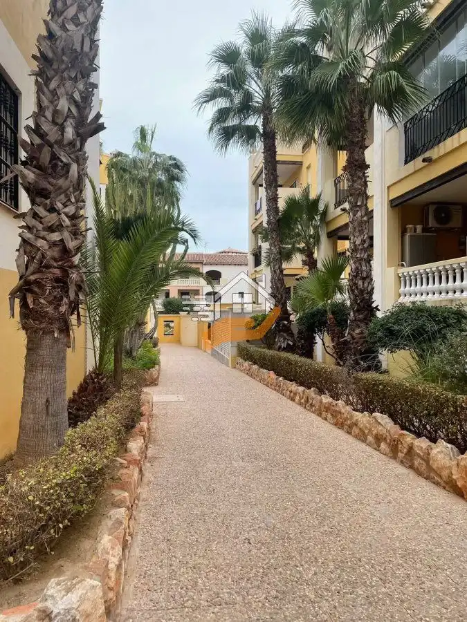 Penthouse mit Terrasse zum Verkauf in Playa de los Locos, imagen 3