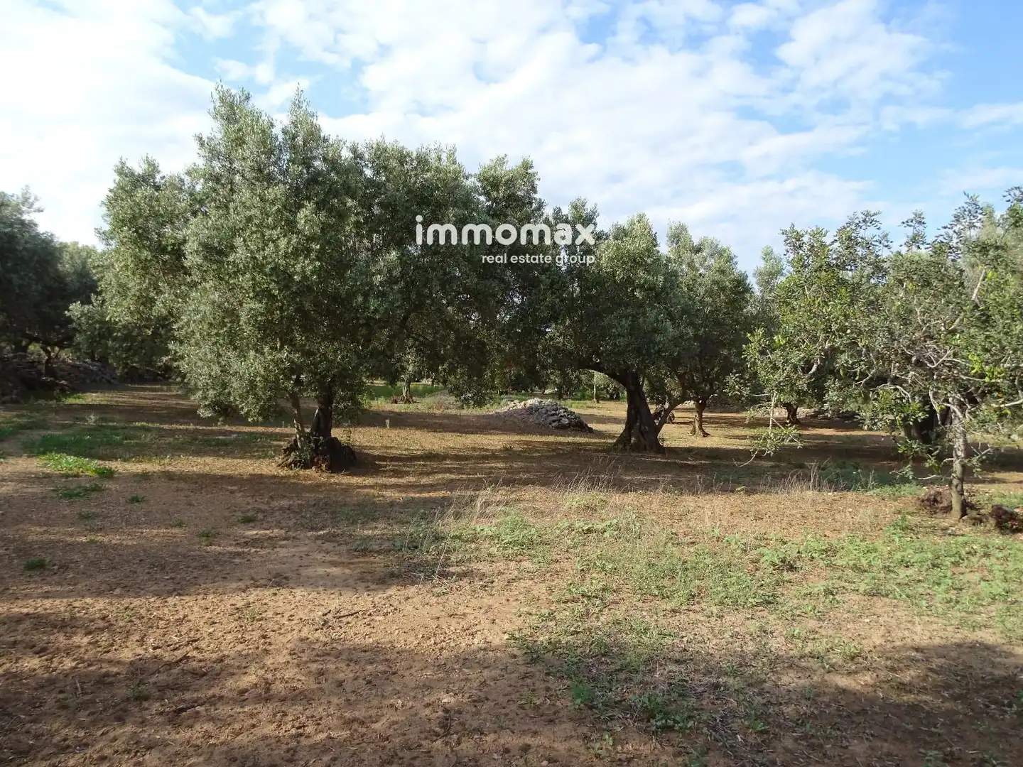 Terrain résidentiel à vendre à 14, imagen 11