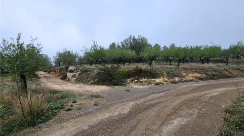 Foto 5 de Residencial en venda a Proc. Simplificado, Altura, Castellón