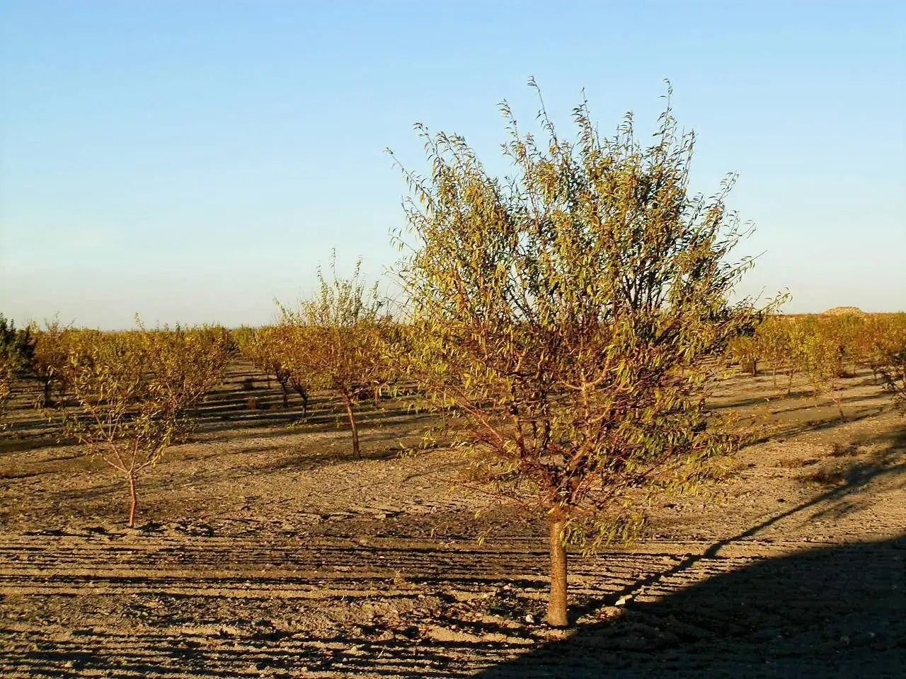 Terreni e lotti in vendita a Las Mesas, imagen 17