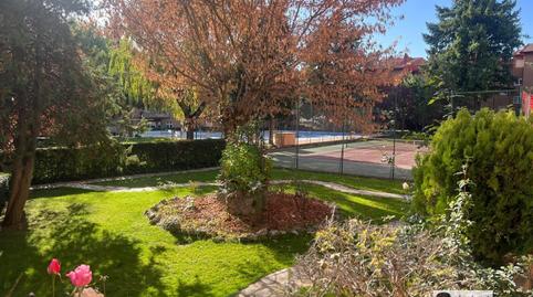 Photo 4 of Planta baja to rent in Alpedrete, Madrid