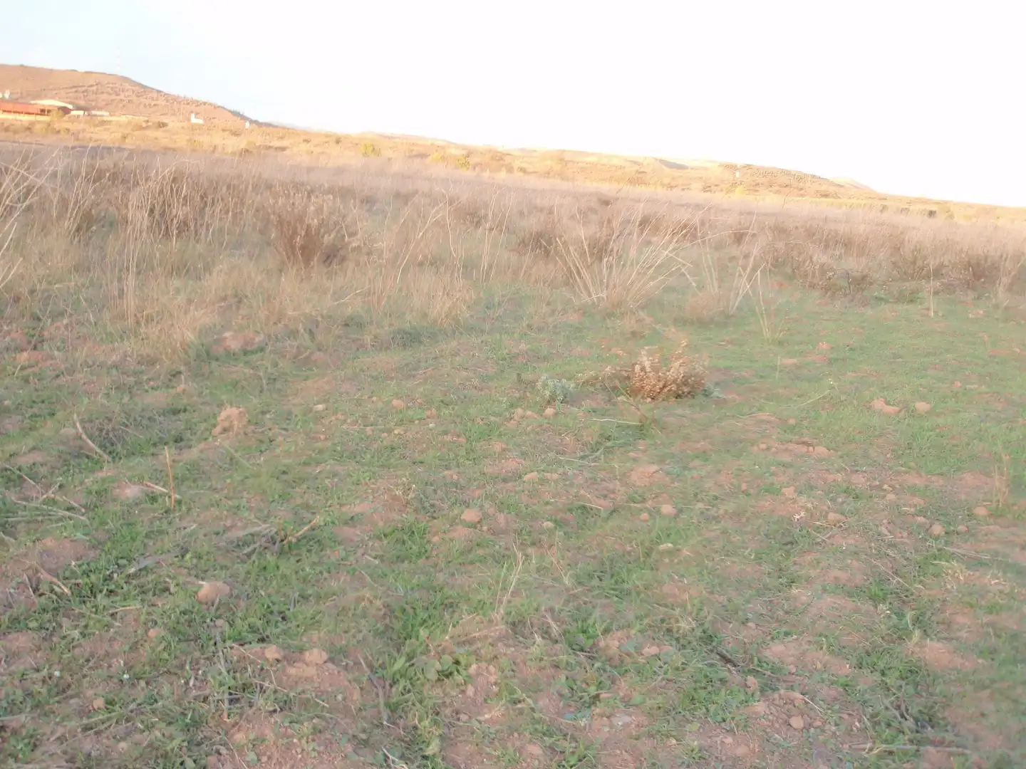 Rural land for sale in Viana, imagen 4
