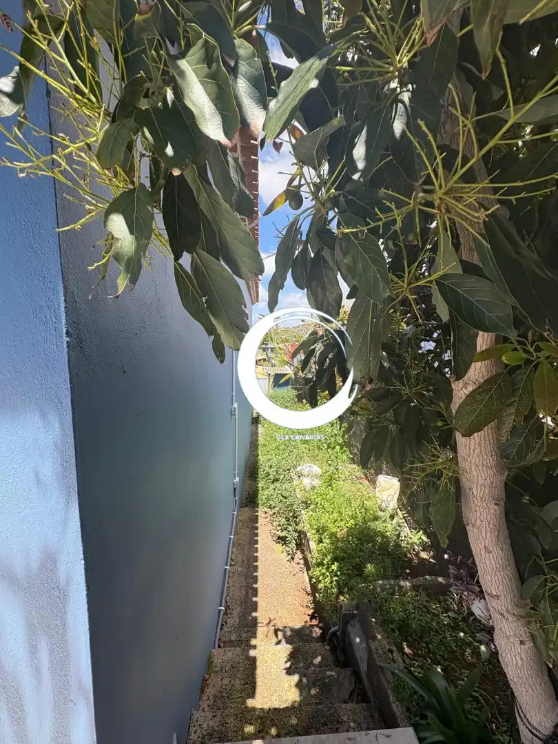 Villa à vendre à La Matanza de Acentejo, imagen 12