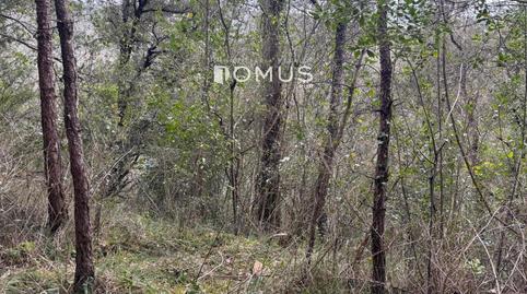 Foto 3 de Finca rústica en venta en Hostal Nou, La Vall de Bianya, Girona