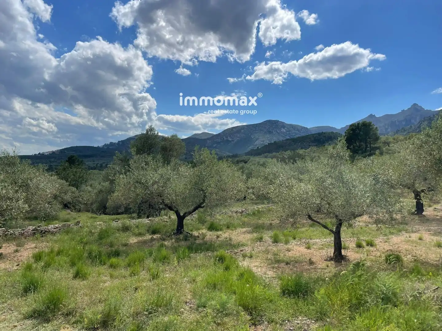 Residential land for sale in 3, imagen 25