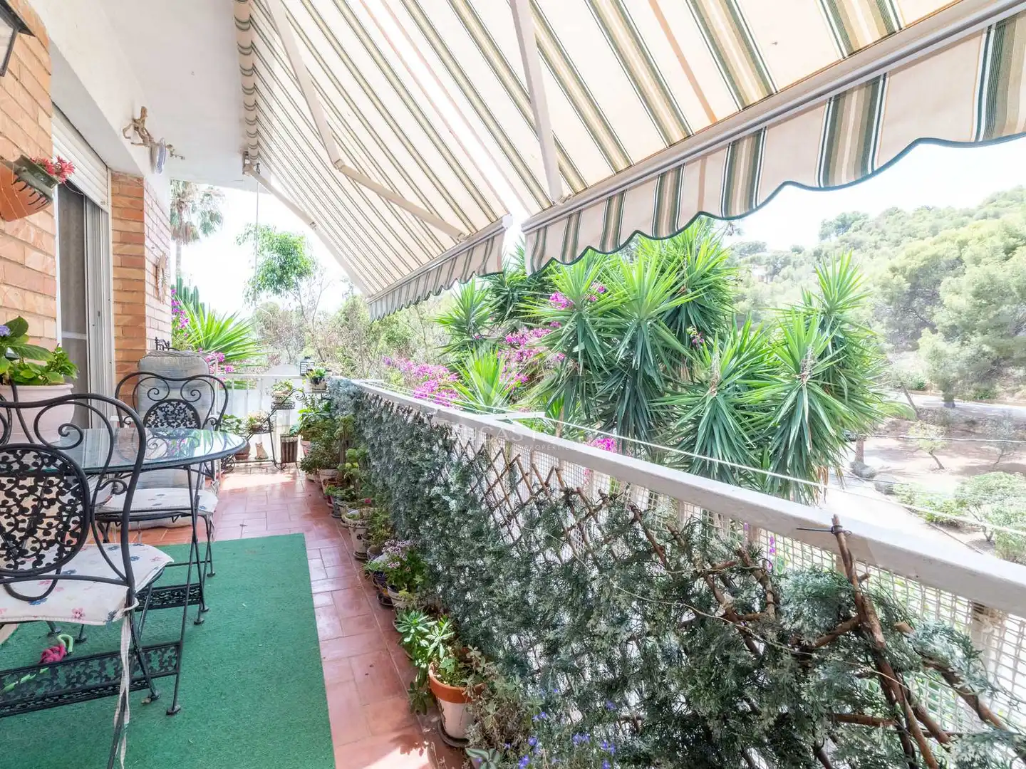 Houses for sale in Bellamar