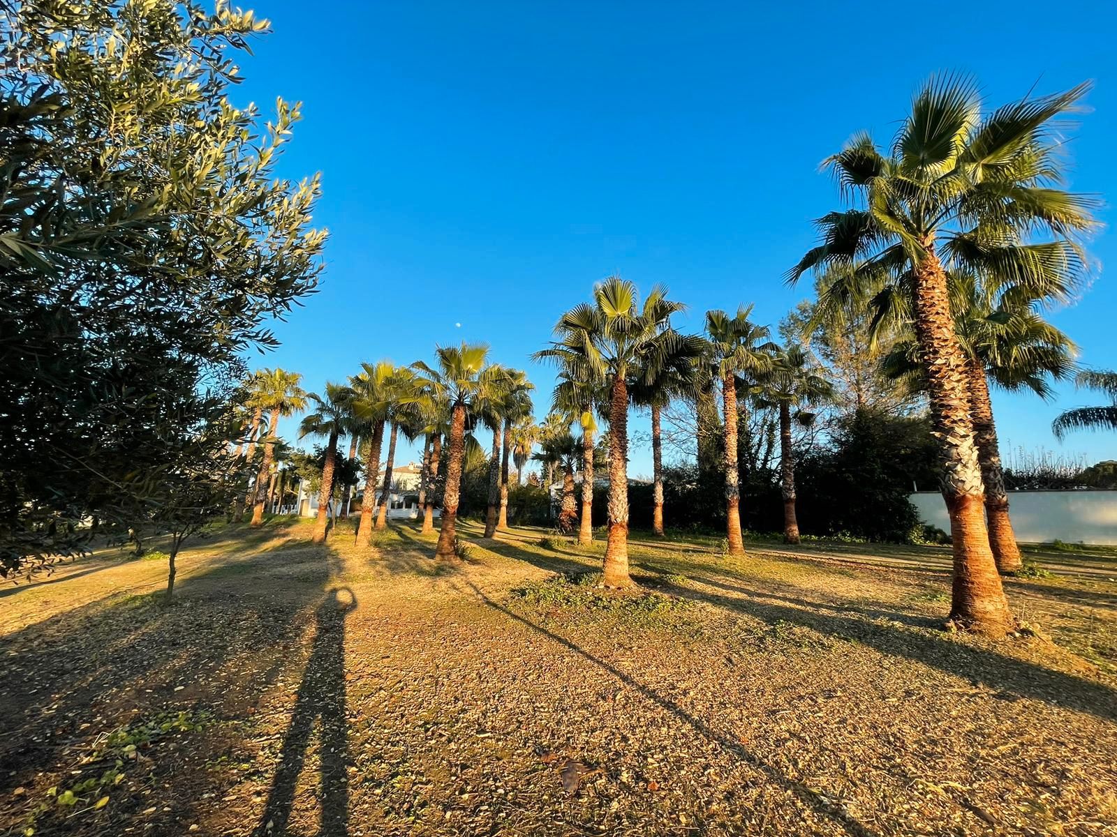 Residencial en venda a Arcos de la Frontera