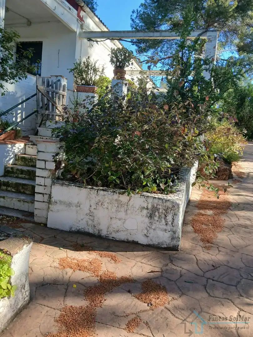 Jardín de Casa o chalet en venta en Alfara de la Baronia con Terraza