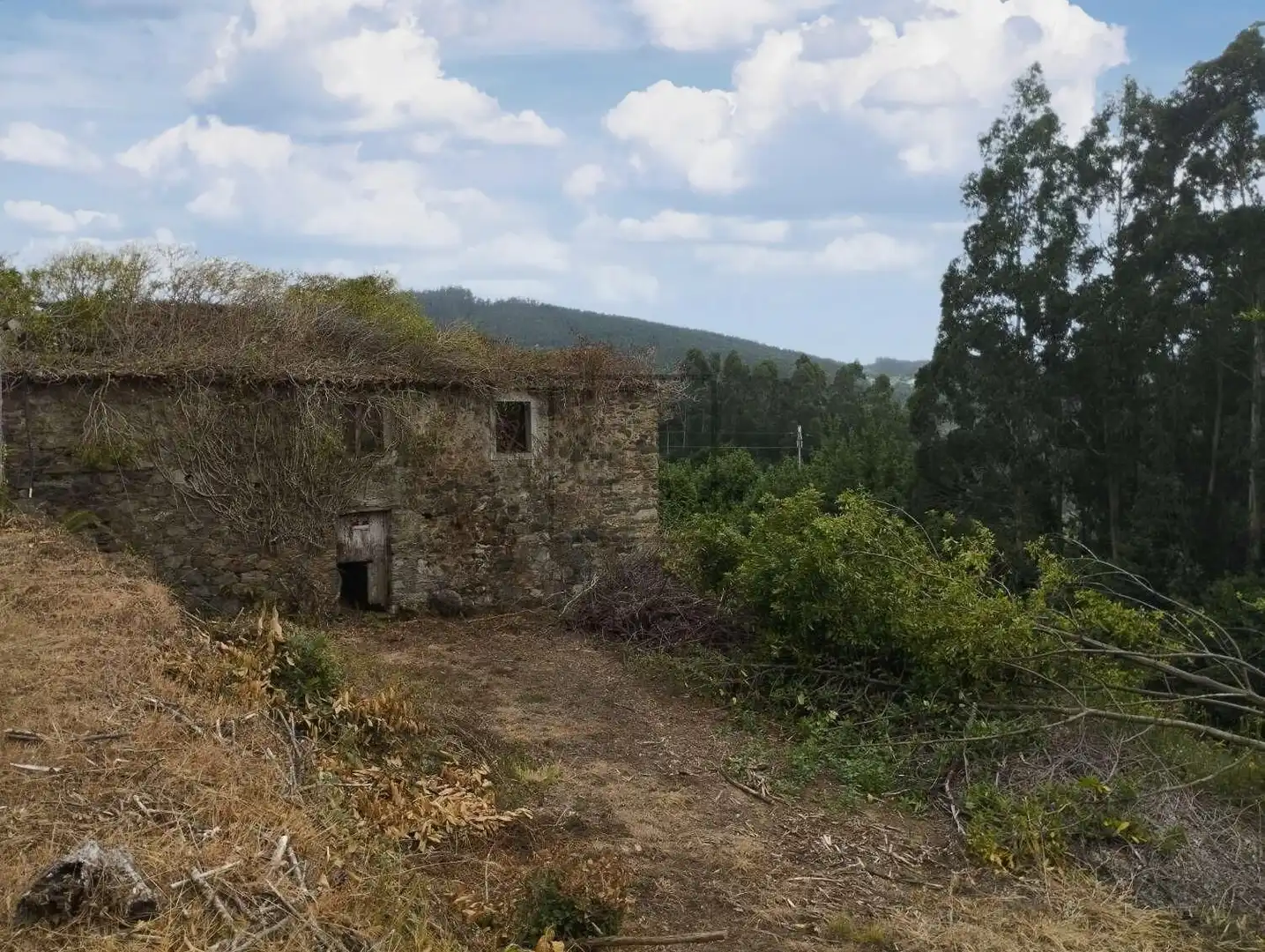 Vista exterior de Casa o xalet en venda en Cerdido amb Jardí privat