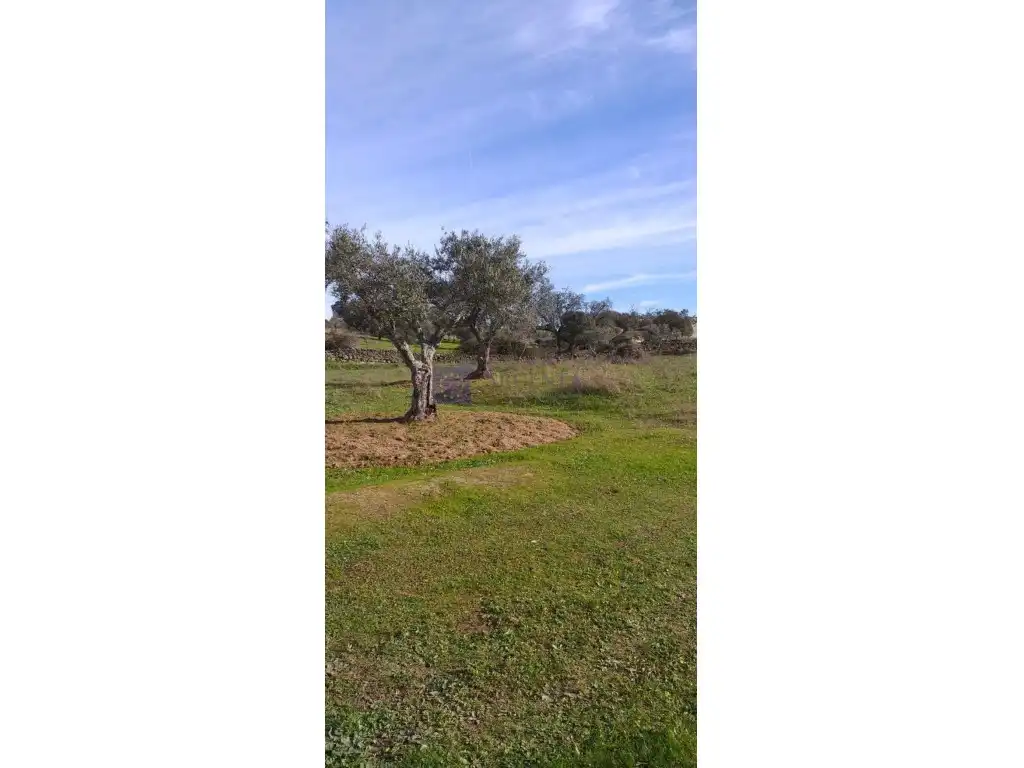 Residential for sale in Calle Fcio Gcia Rubio, Arroyo de la Luz
