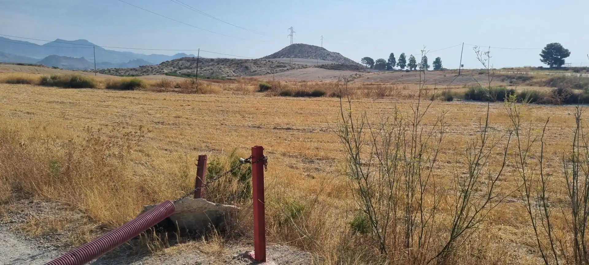 Lands and plots for sale in Mula, imagen 2