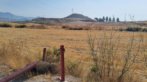 Magnífica Finca Rústica en Venta  Carretera de Mula Ojos, immagine 2