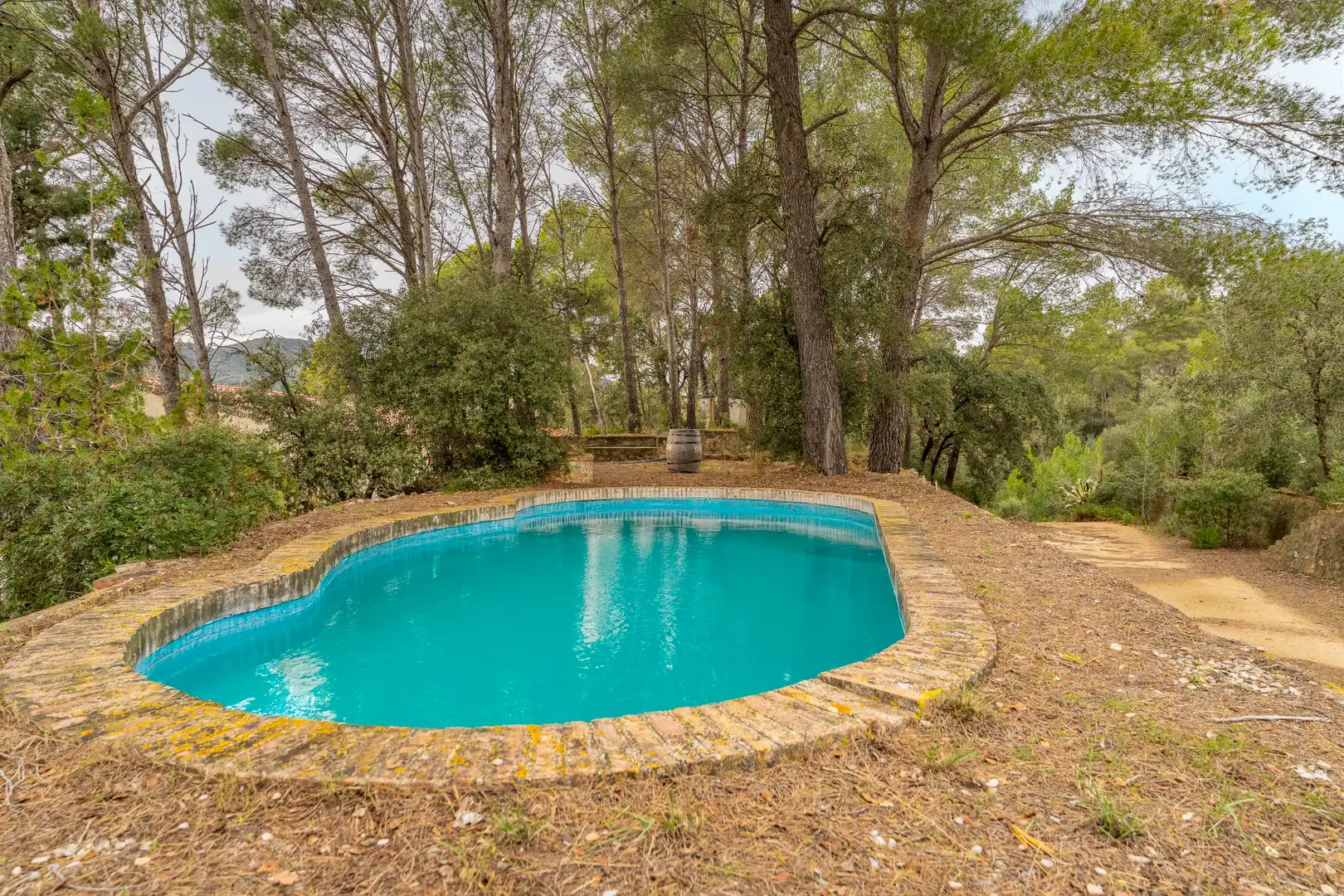 Piscina de Finca rústica en venda en Les Borges del Camp amb Jardí privat, Terrassa i Traster