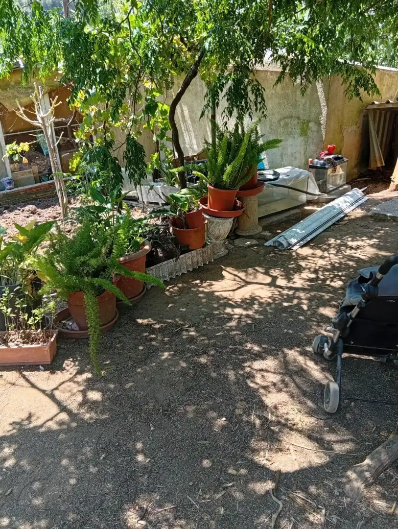 Jardín de Terreno en venta en Calella