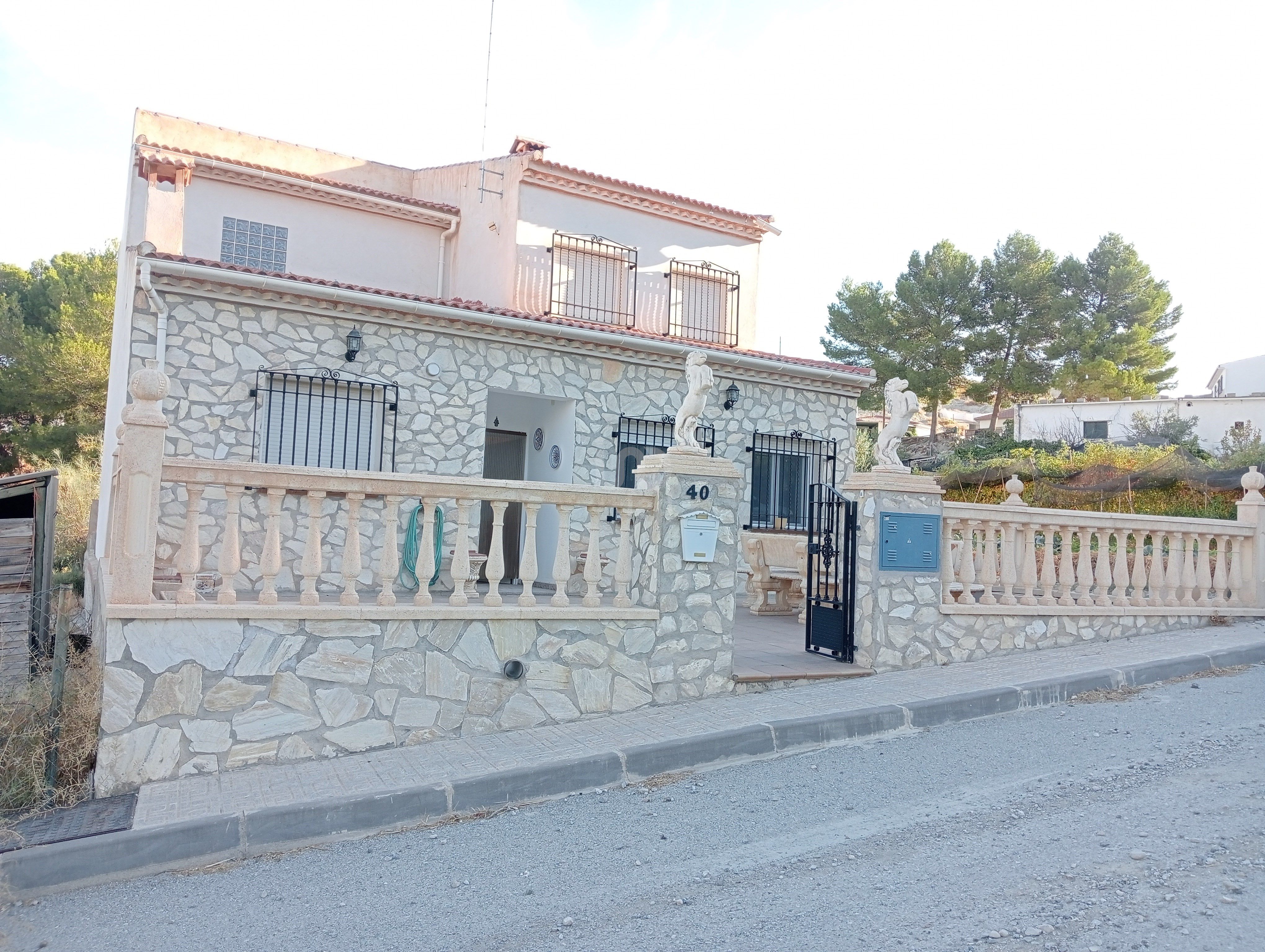 Exterior view of House or chalet for sale in Dehesas de Guadix  with Terrace