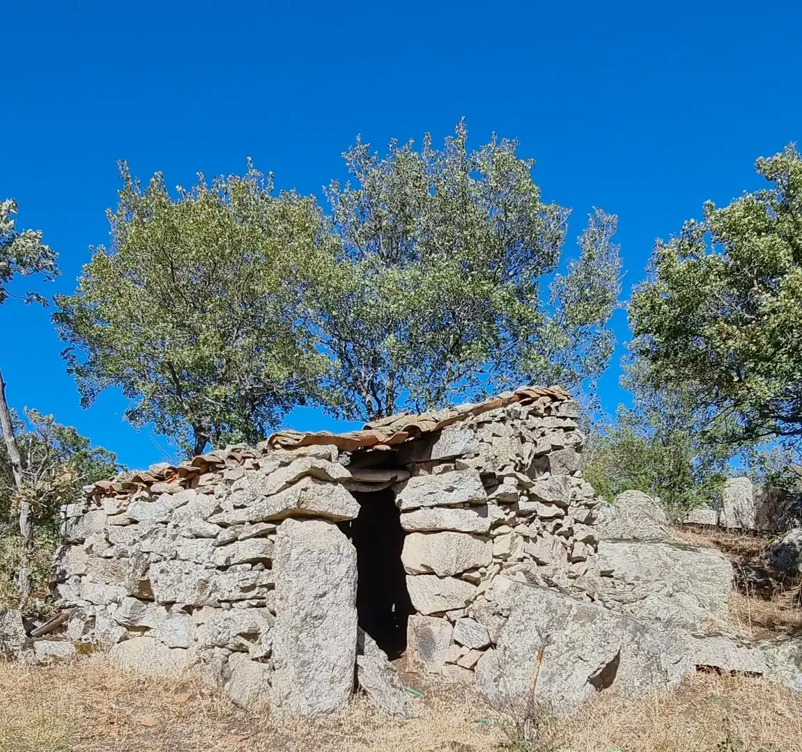 Terreno rustico in vendita a Carretera de Valdemanco 33, imagen 13