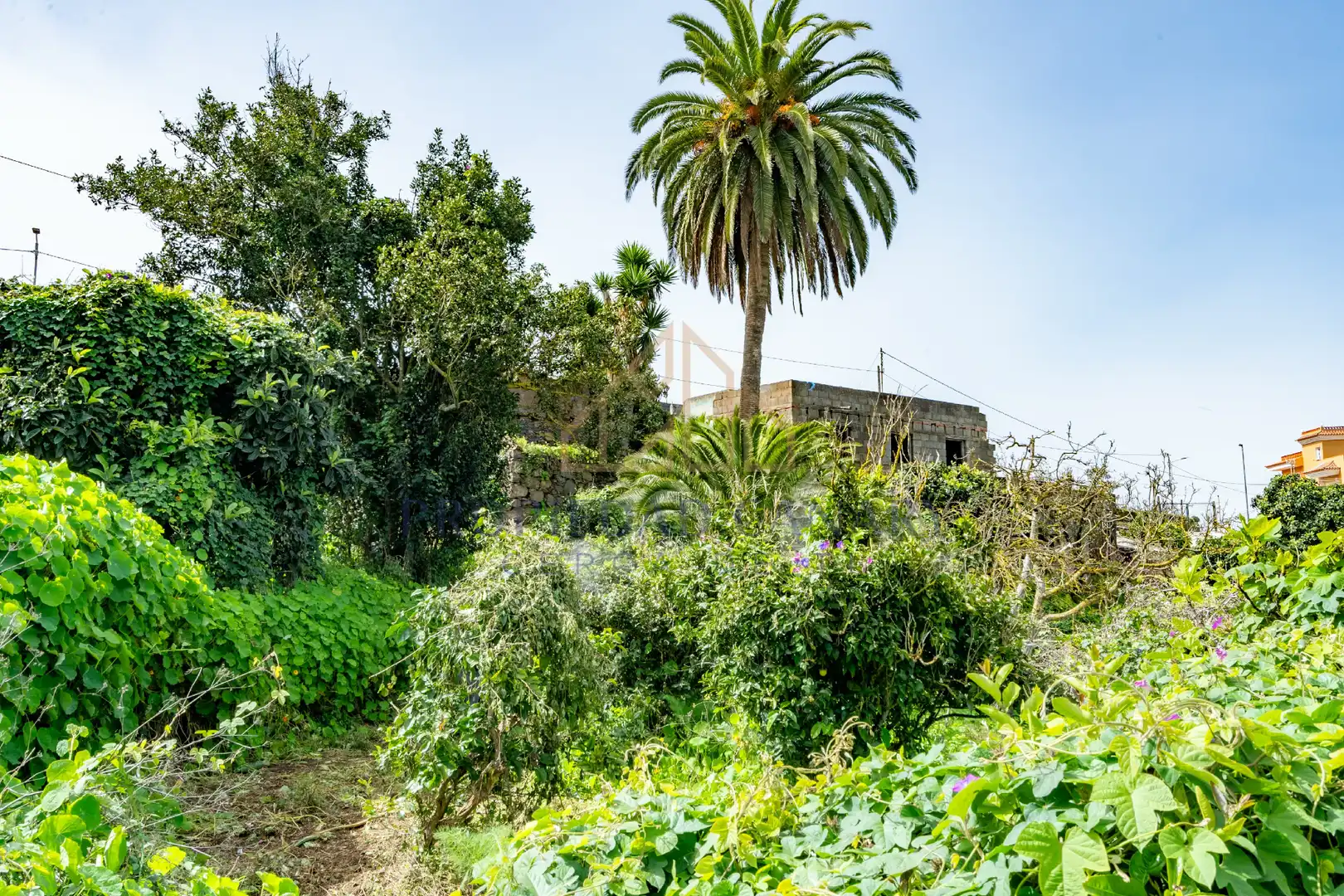 Finca rústica en venda en La Victoria de Acentejo