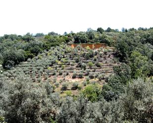 Grundstücke zum verkauf in Talaveruela de la Vera