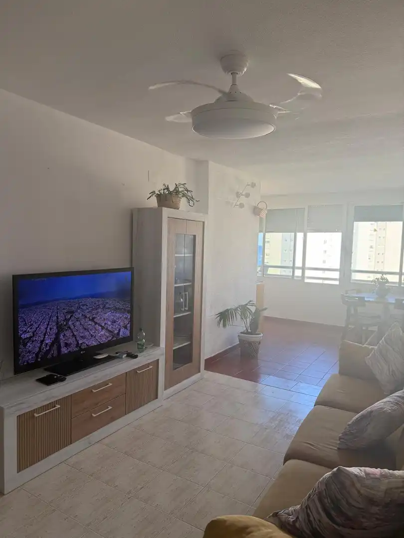 Living room of Flat for rent in Alicante / Alacant
