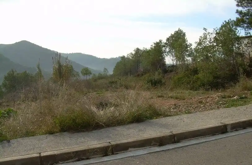 Terreny residencial en venda a Avinyonet del Penedès, imagen 11