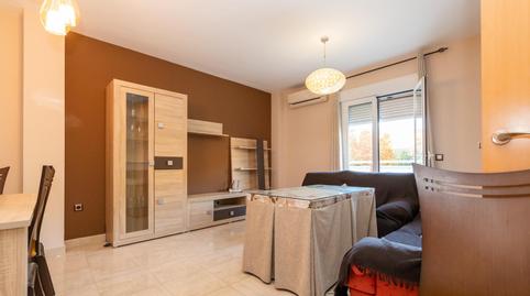 Foto 5 de Pis de lloguer a Padul, Granada