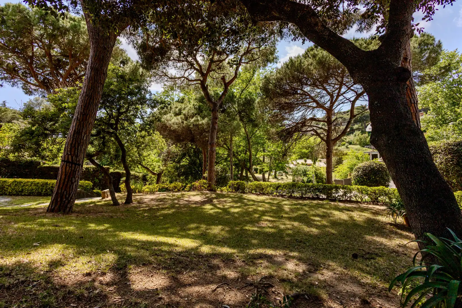 Jardín de Casa o chalet en venta en Cabrils con Calefacción, Jardín privado y Parquet