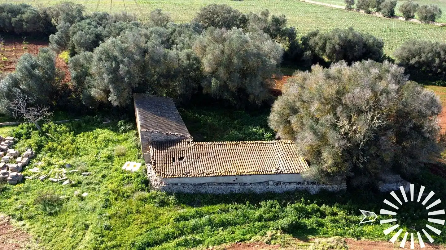 Terrain rustique à vendre à Cami de Son Pau, imagen 36