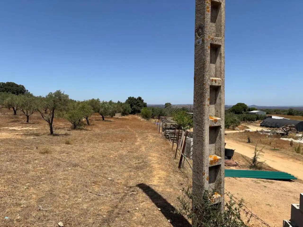 Finca rústica en venda a San Bartolomé de la Torre