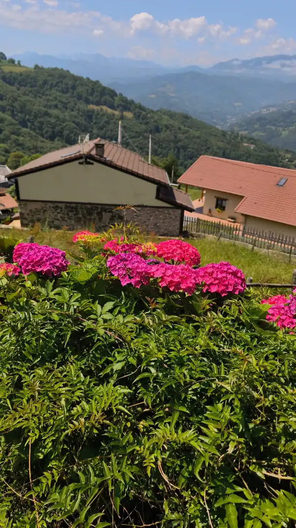 Jardí de Casa o xalet en venda en Mieres (Asturias) amb Jardí privat, Terrassa i Traster