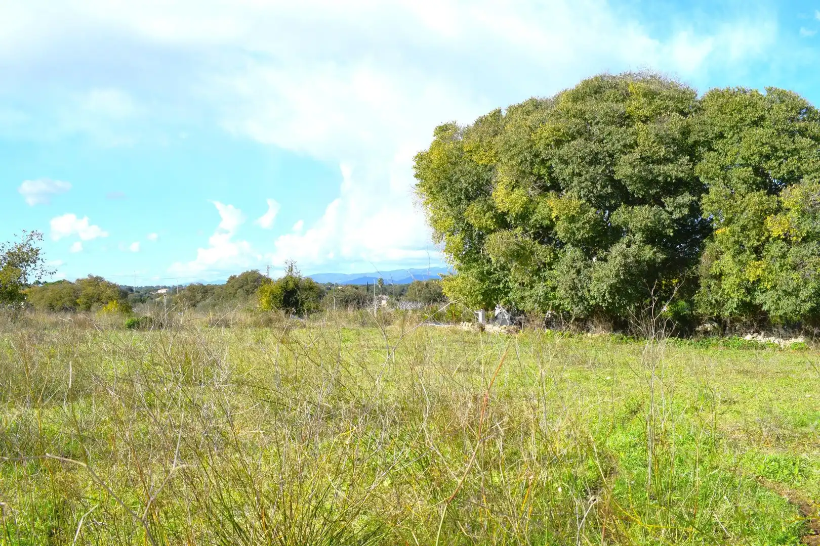 Residential land for sale in Llubí, imagen 22