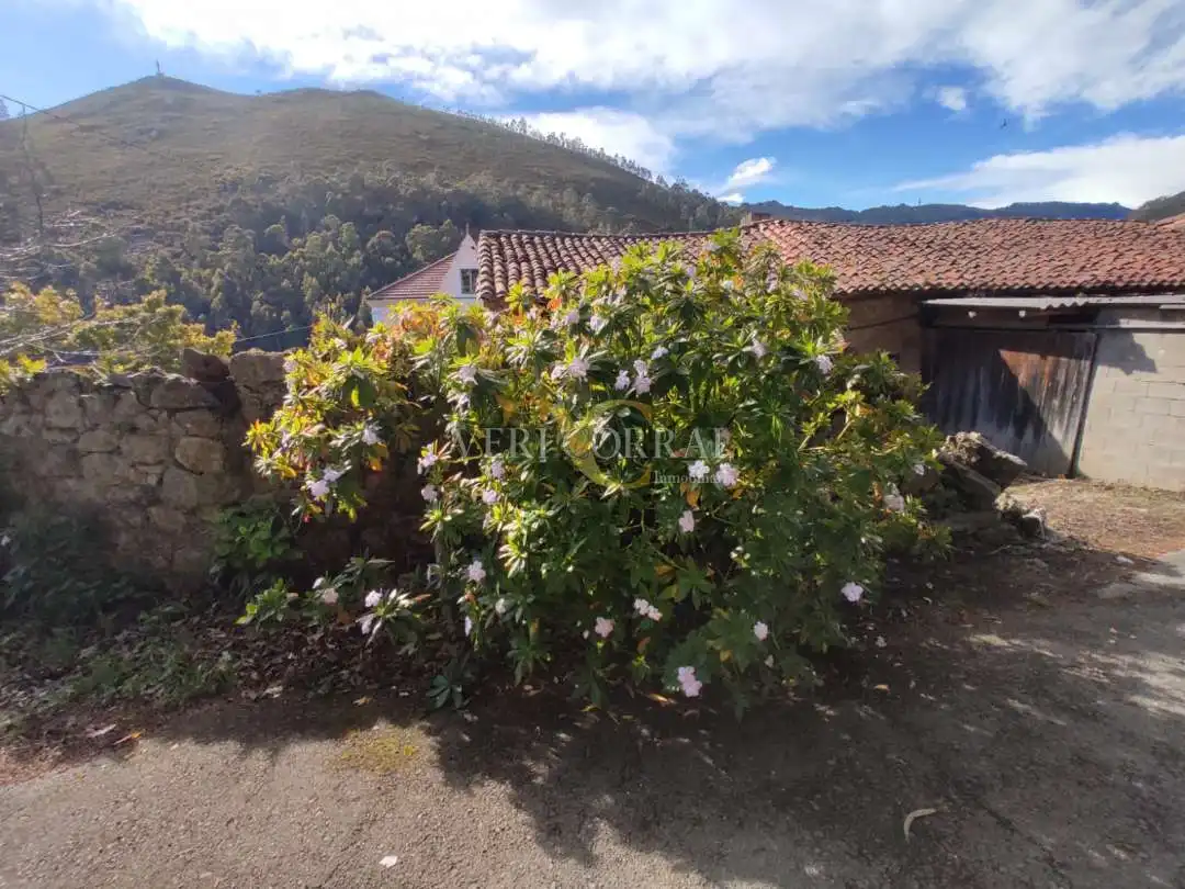 Houses for sale in Caravia, Caravia