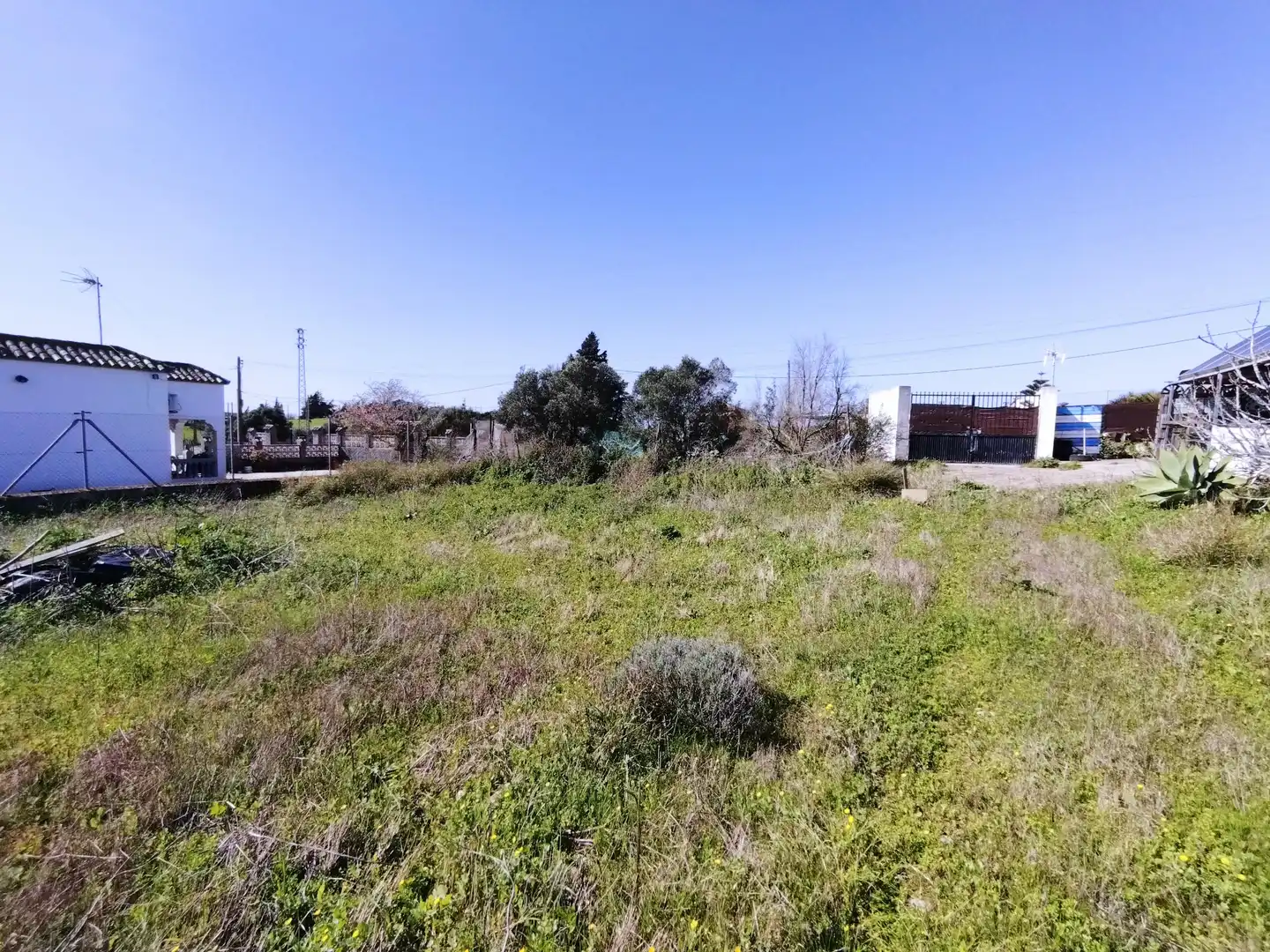 Terrain rustique à vendre à Vejer, imagen 2