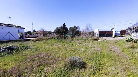 Espectacular parcela segregada en la zona de Patria en Vejer., Bild 2