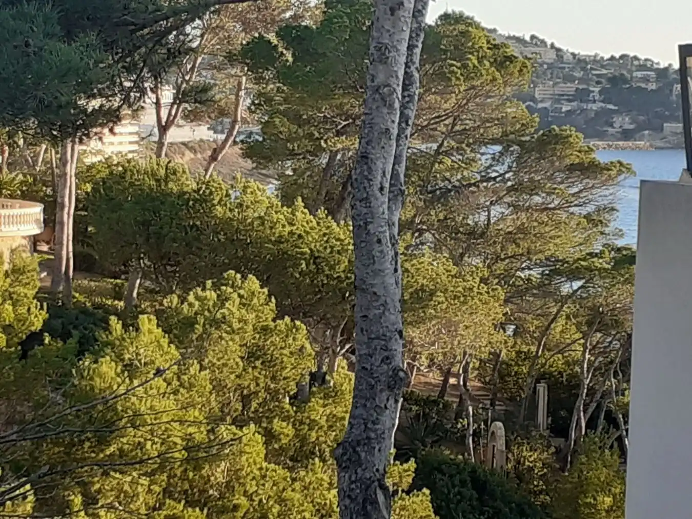 Maison rustique avec piscine à vendre à Costa de la Calma, imagen 3