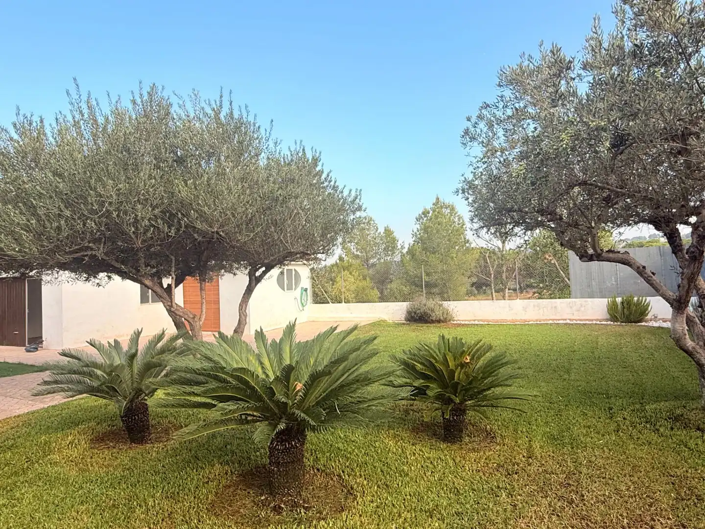 Jardín de Casa o chalet en venta en Carlet con Aire acondicionado, Calefacción y Jardín privado