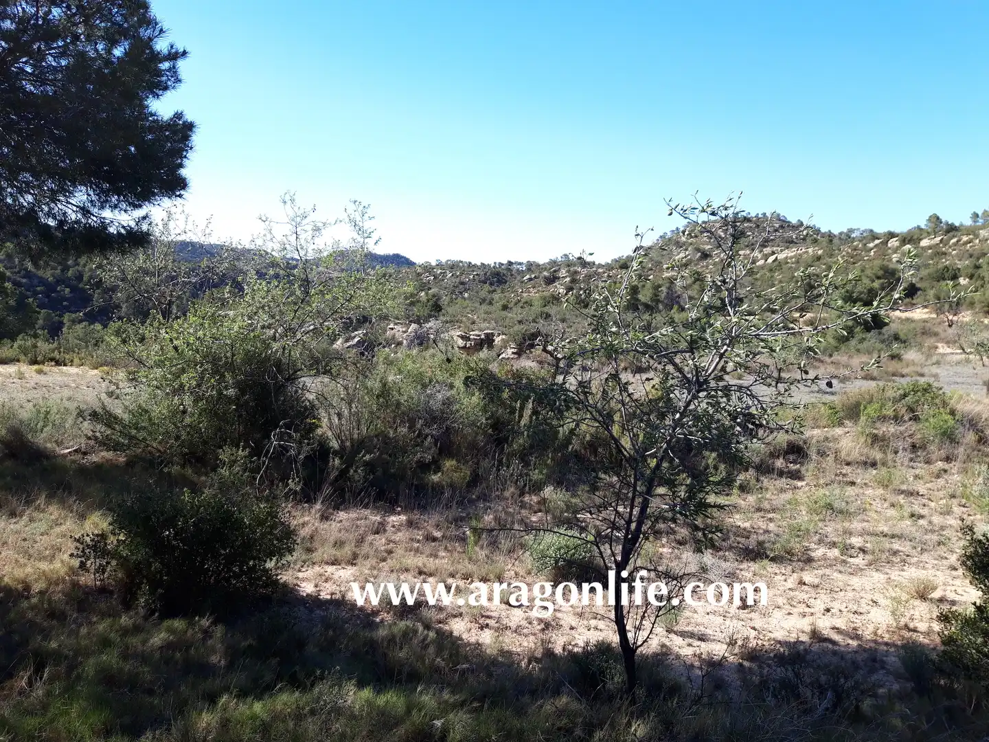 Terreni e lotti in vendita a Maella, imagen 18