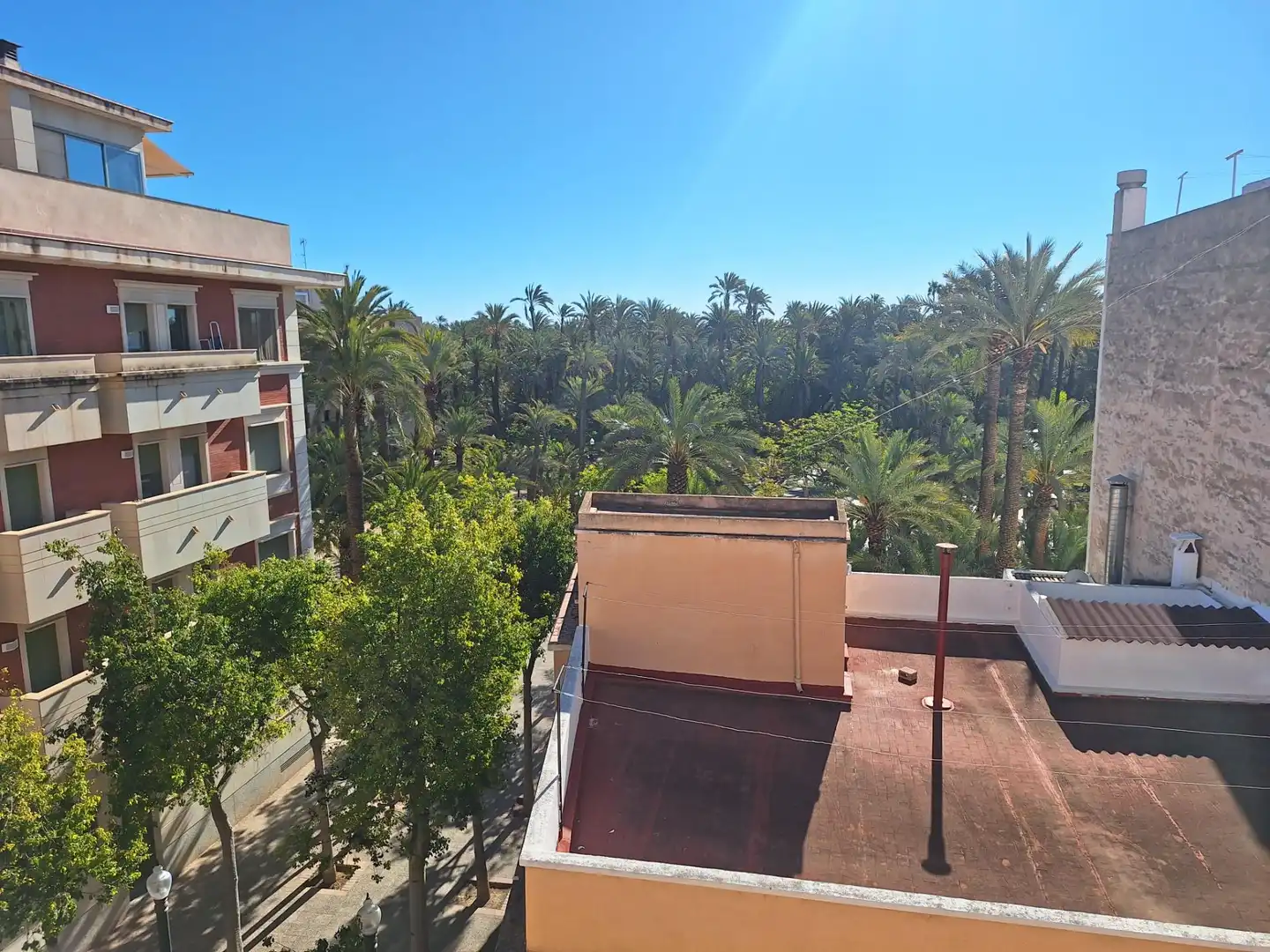 Exterior view of Flat for sale in Elche / Elx  with Furnished and Balcony