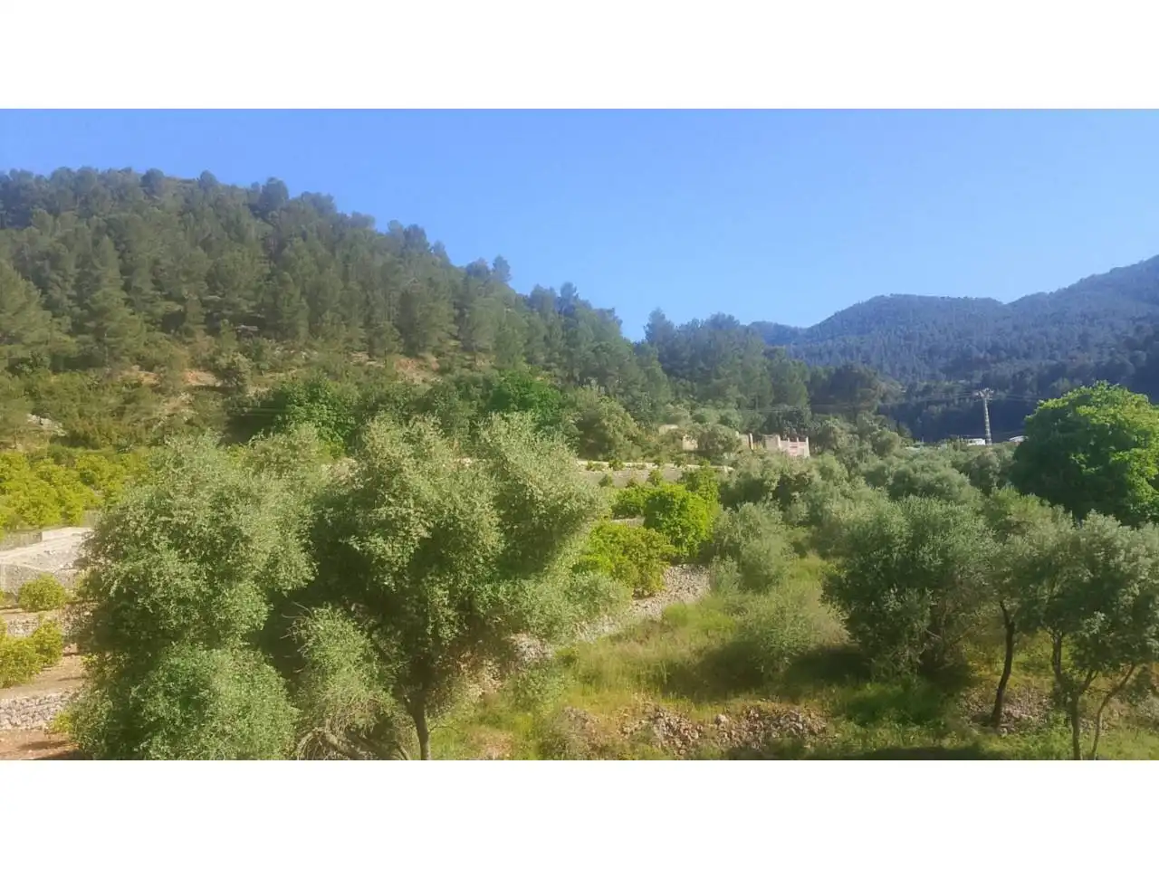 Appartamento con terrazza in vendita a Calle Camino de Forna 4j, imagen 14